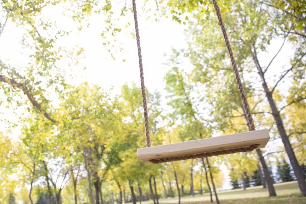 Cost of Tree Swing Installation in Mill Valley