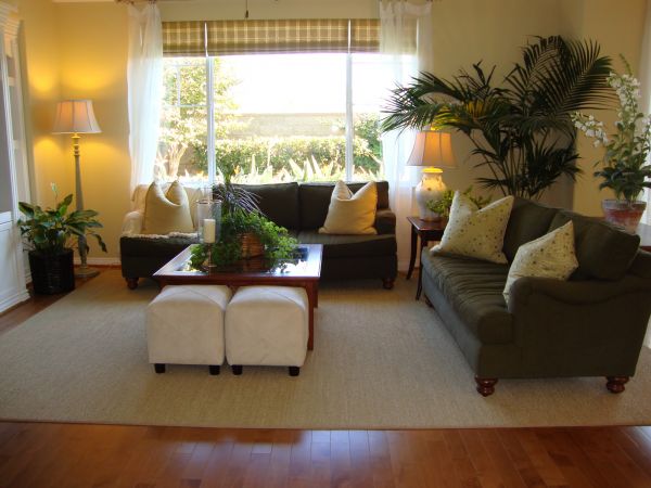 Cost of Valance Rod Installation in Mill Valley