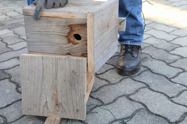 Cost of Birdhouse Mounting in Mill Valley